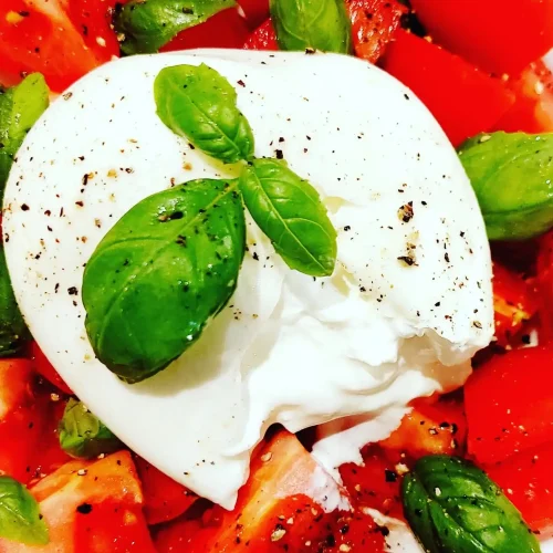 Burrata_compress